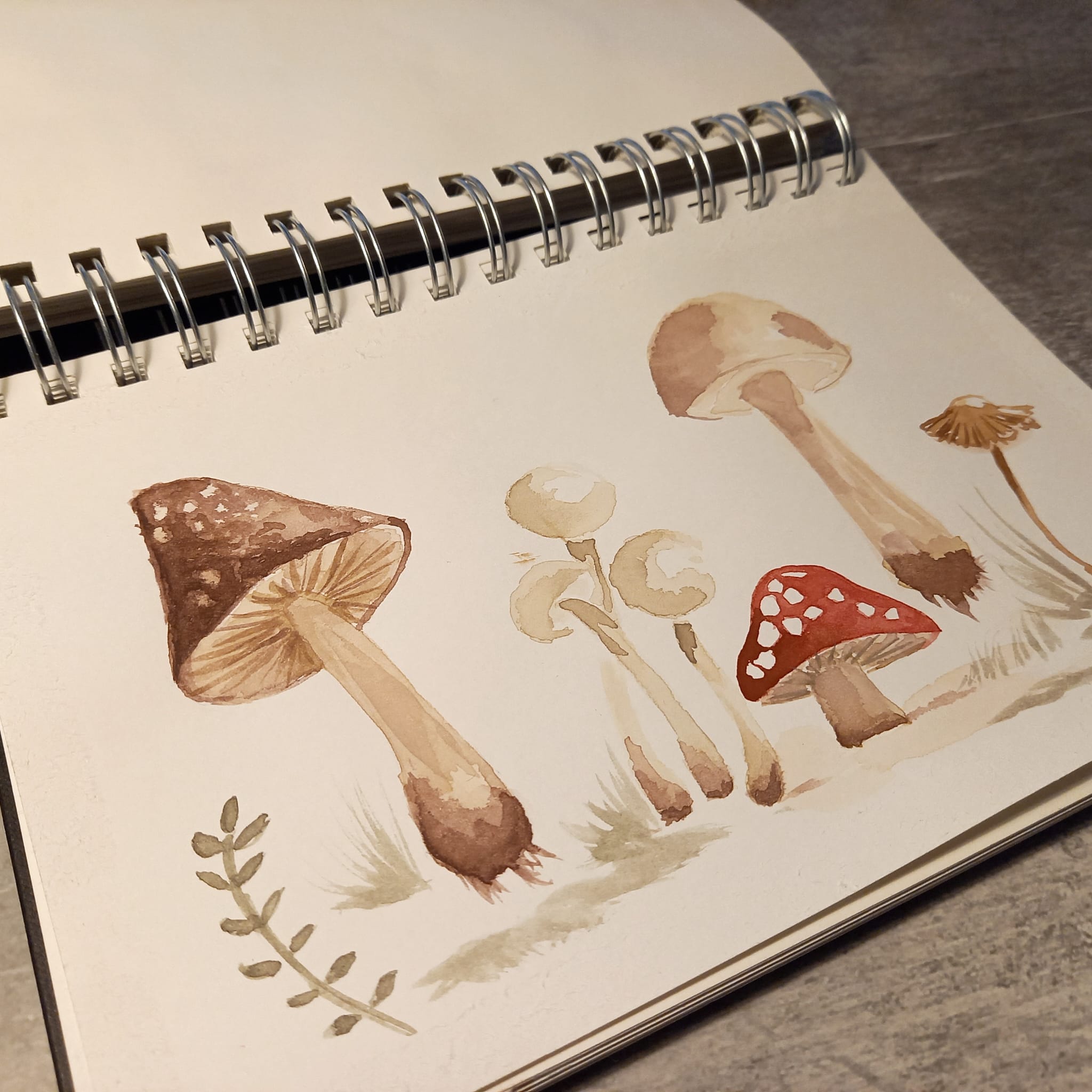 Mushrooms 1